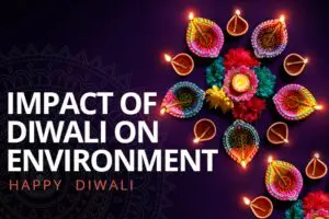 Read more about the article Impact Of Diwali On Environment